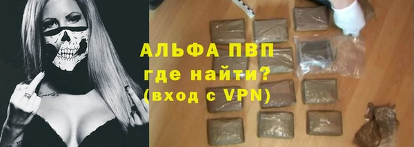 шишки Верея