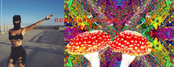 шишки Верея