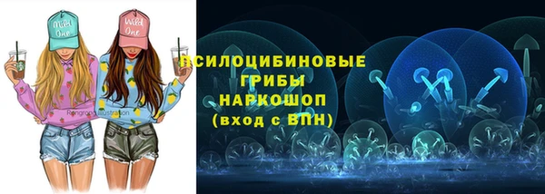 СК Бородино
