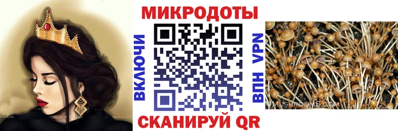 Купить закладки  Горно-Алтайск  Псилоцибиновые грибы Cubensis 